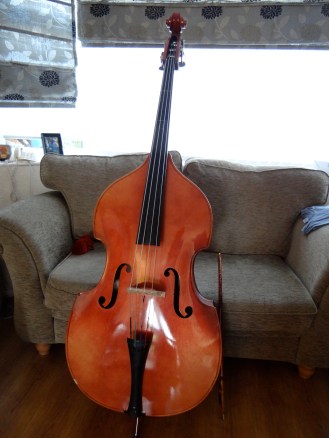 The Lovely String Bass from County Durham Youth Services 