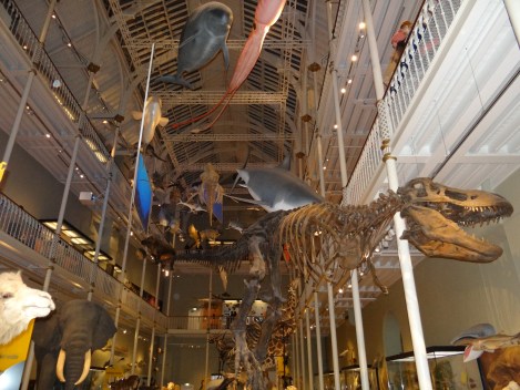 The 3 story display of animals.  Awe inspiring.