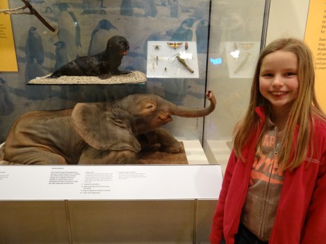 Meg meets a pint-sized pachyderm. 