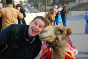 Camels have always liked me, for some reason.  This one gave me a kiss while we were taking in the sights from the Mount of Olive in Jerusalem, Israel.