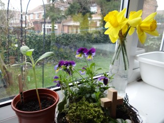 Meg's Easter Garden and Mother's Day Daffodils